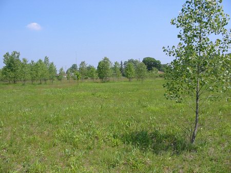 Bel Air Drive-In Theatre - Lot - Photo From Water Winter Wonderland (newer photo)